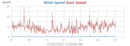 yearwind